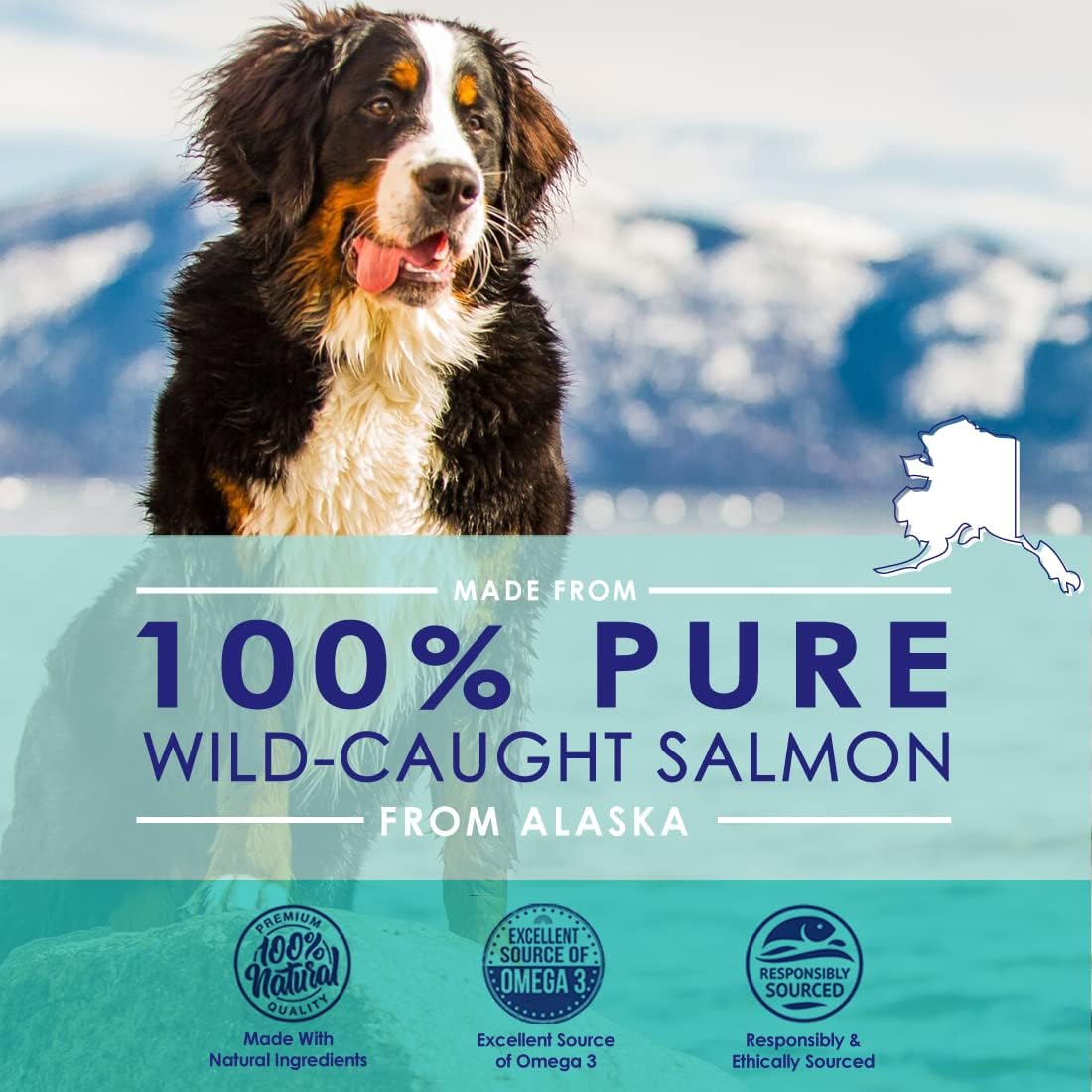 Wild Alaskan Fish Oil for Dogs Liquid Pure Salmon Oil For Dogs