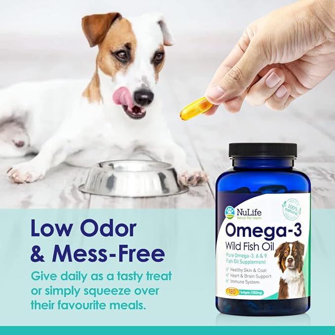 Giving dogs omega 3 best sale